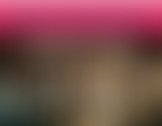 What does “politics” mean in Switzerland?