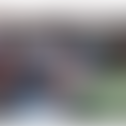 Swiss municipal assemblies: democracy on your doorstep