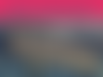 Part I Bilateral Agreements - A Question of Sovereignty