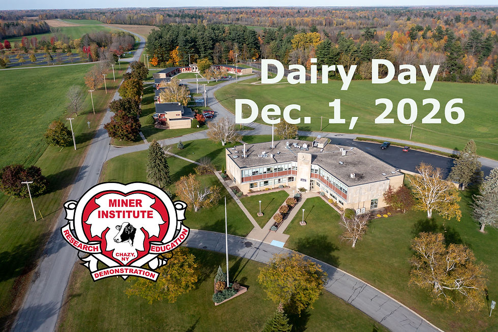 Dairy Day