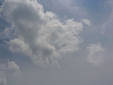 良いことありそう🎶