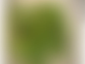 おはようございます。