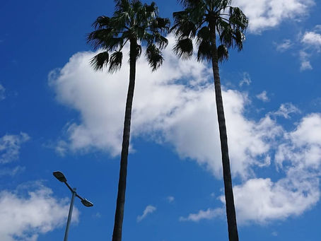 キラキラ✨だね💕