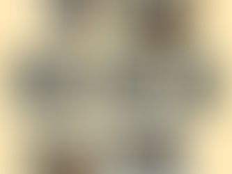 福禄寿ルチル✨