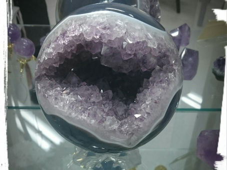 新しい仲間が増えました🎵