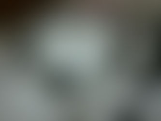 出張の為、明日明後日お休みします📢