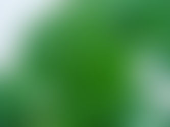 久々のガーデニング🍀