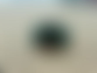 X'masカラーの指輪💍