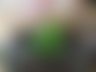 アロマティラス