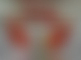 帰った時は遊びに来てね🎵