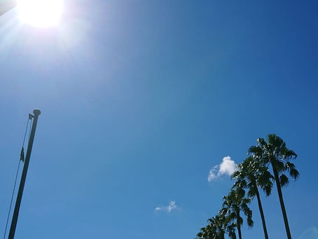 小林、出張決まりました🎶