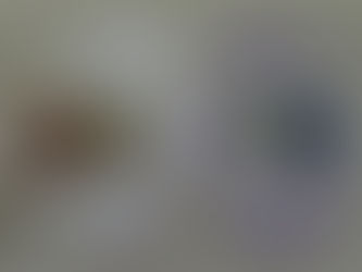 ガーデンクオーツ(庭園水晶)とても魅力的な石です😌💓