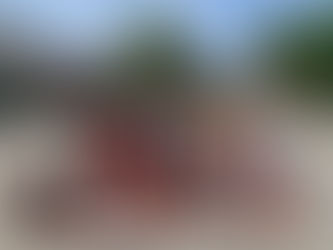 Période 5: 25 avril au 5 juillet 2022 : école de Saint Didier M Schoeffter #CP-CE1 20 enfants.