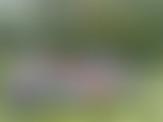 Période 1:du 2 septembre au 16 octobre 2020 la Passerelle le Thor #ce2 Mme Mercier 25 élèves