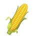 Corn on the cob