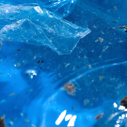 The Role of Bioplastics in Protecting Macau's Marine Environment