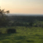 Pastures overlooking a low range of mountains.