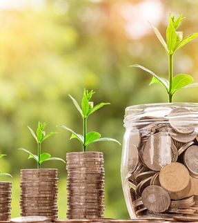 PACKMORE (2)_edited.jpg