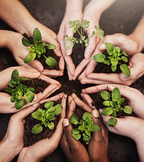 PACKMORE (2)_edited.jpg