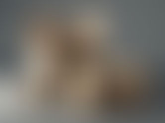 E-Ticarette Paketleme Hataları: Yanlış Kargo Poşeti Seçiminin Zararları