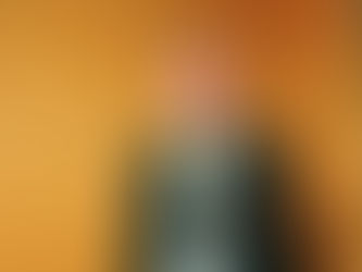 A questão dinástica da Casa Imperial do Brasil: A irrevogabilidade da Renúncia de 1908