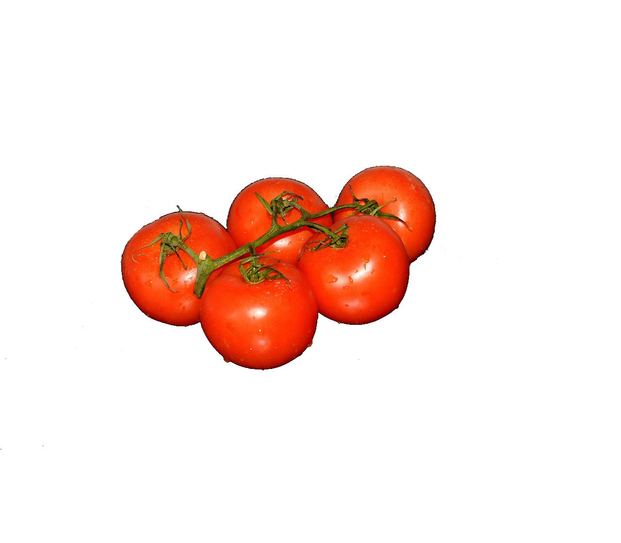 PREMIO GRAPPE F1