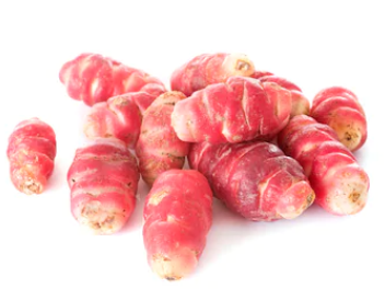 OCA DU PEROU