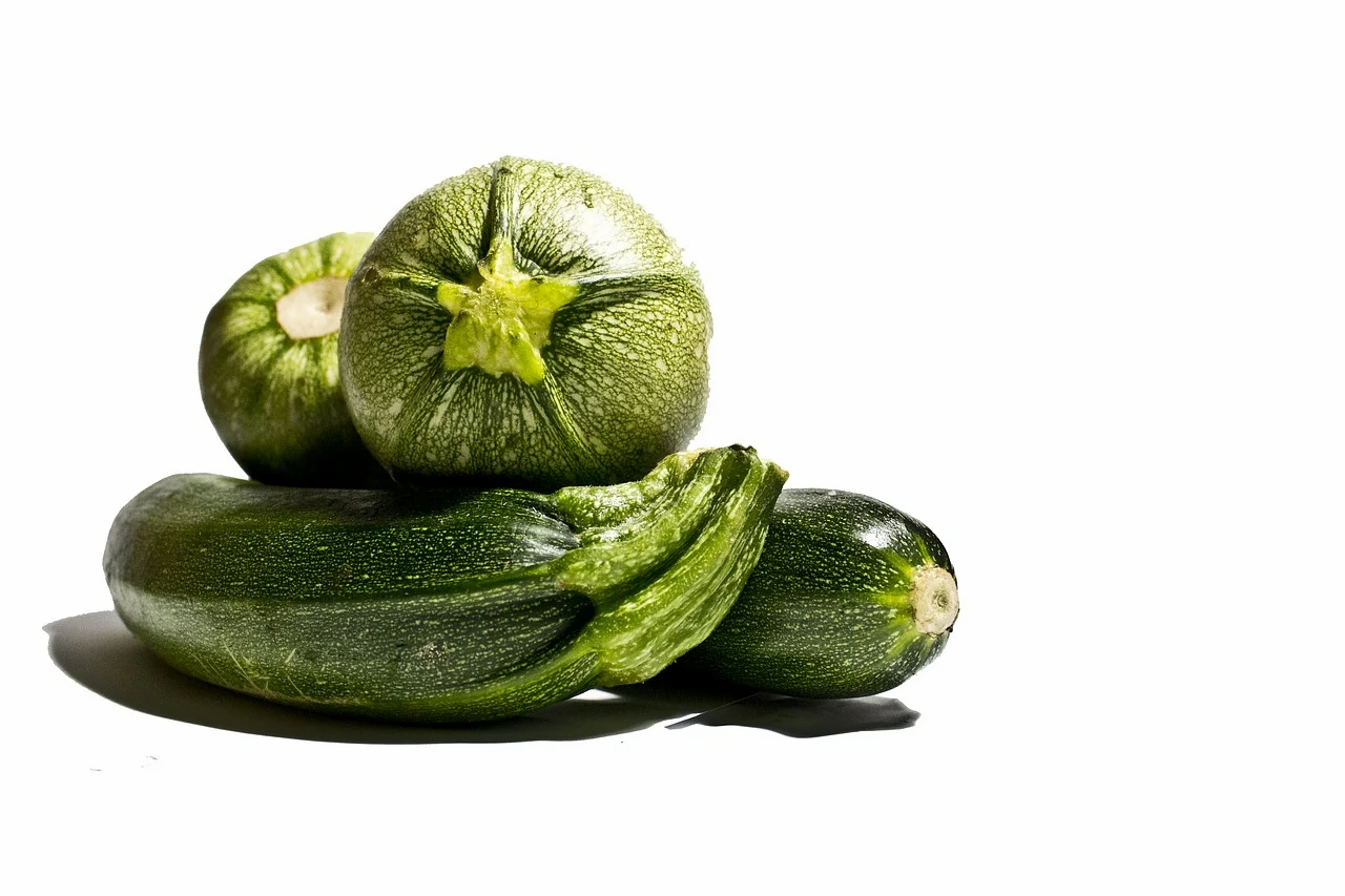 COURGETTE KIMBER F1