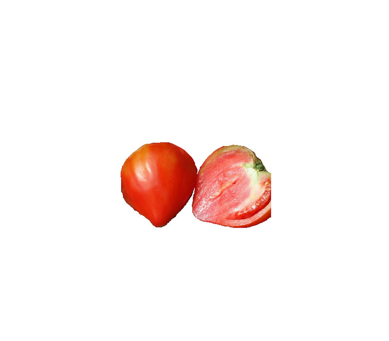 GOURMANDIA F1