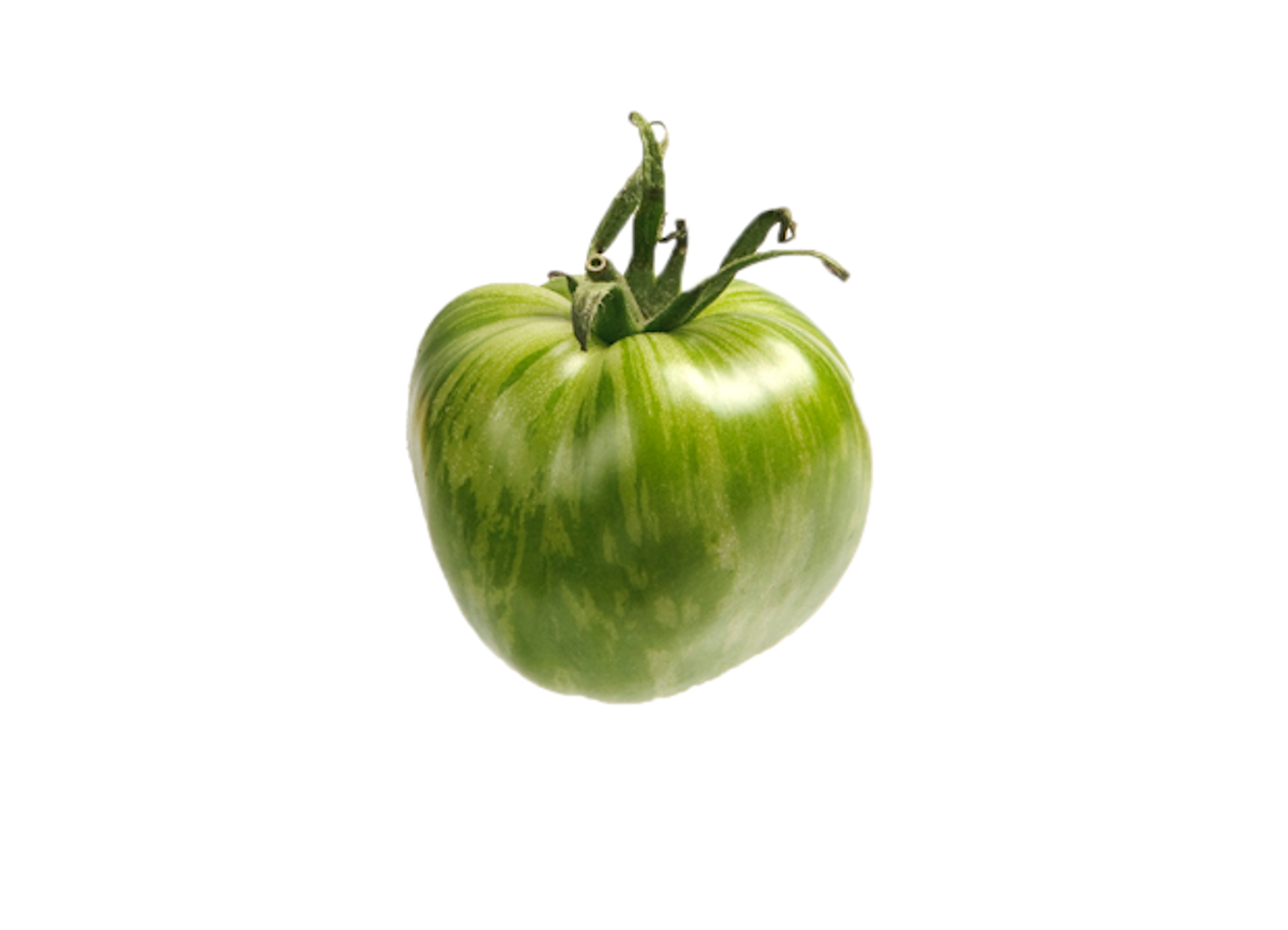 GREEN ZEBRA F1