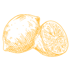 digestion - lemon.png