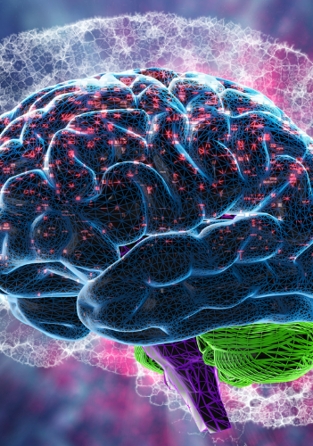 TMS | New York | Adapt Psychiatry