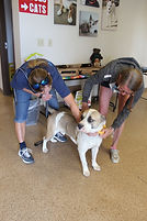IMG_0913.JPG