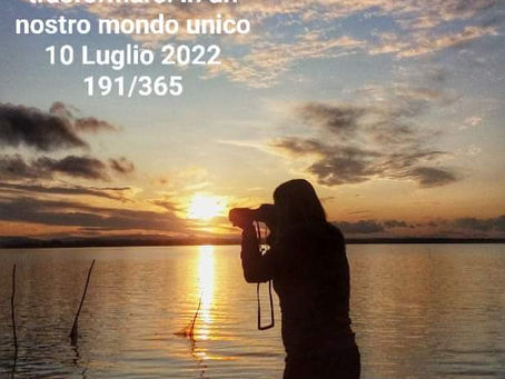 MOMENTO UNICO