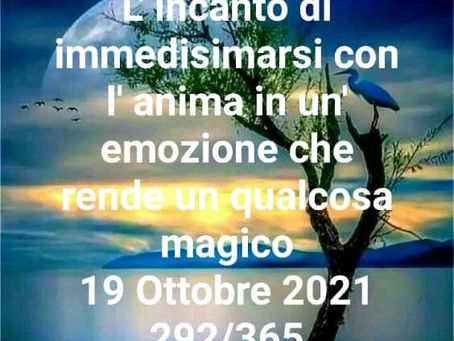 LASCIARSI STUPIRE