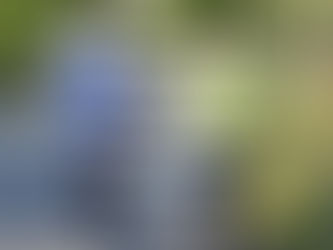 LA SCALATA VERSO UN PANORAMA IMMENSO