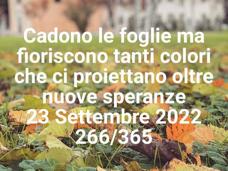 I COLORI CHE CI FANNO VOLARE LONTANO