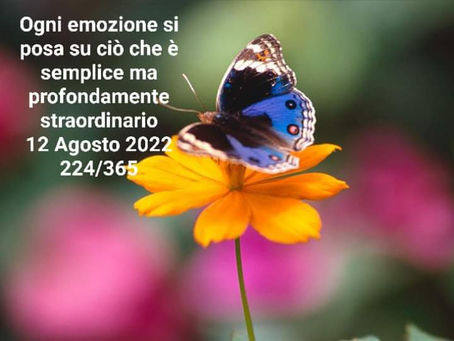 IMPATTO DA BRIVIDI