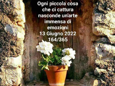L' ARTE DI LASCIARSI CATTURARE