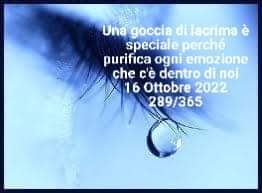 GOCCE CHE RISTORANO