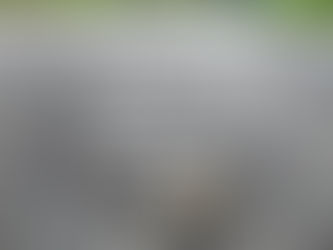 PICCOLI PASSI VERSO UNA META INFINITA