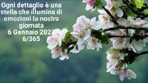 BELLEZZA AUTENTICA
