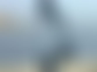 IL VISIBILE CHE VEDIAMO INVISIBILE