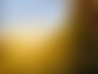 L'ALBA DI RICOMINCIARE