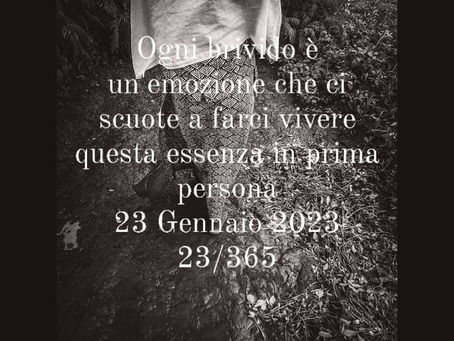 TU CHE MI SCUOTI DOLCEMENTE