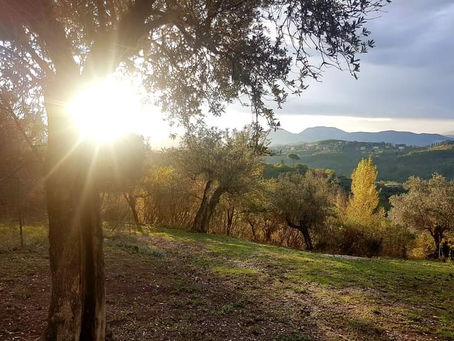 SENTIERO DI PRIMAVERA