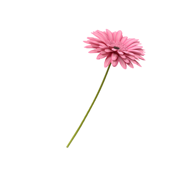 Flower.png