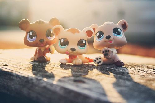 3 petits ours