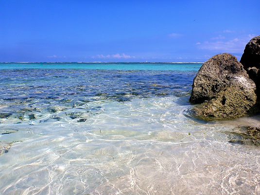 Témoignages séjours le Lagon d'Anolis