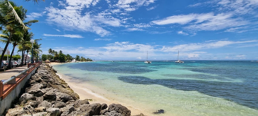 Baiesainteanneguadeloupe_lelagondanolis